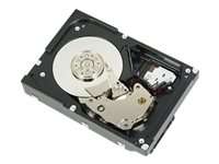 Dell - hårddisk - 2 TB - SAS 6Gb/s FV4DC