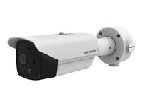 Hikvision HeatPro Series DS-2TD2617-6/QA - termisk/nätverksövervakningskamera - kula DS-2TD2617-6/QA