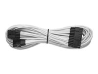 CORSAIR Individually Sleeved Modular Cables - strömkabel - 24-stifts ATX (20+4) - 61 cm CP-8920058