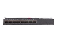 HPE Virtual Connect 16Gb 24-Port Fibre Channel Module for c-Class BladeSystem - switch - 24 portar - insticksmodul P08475-B21
