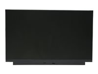 Lenovo - 13.3" (33.8 cm) HD LCD TN display, 250 nit 02HL700