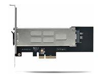 StarTech.com M.2 NVMe SSD to PCIe x4 Mobile Rack/Backplane with Removable Tray for PCI Express Expansion Slot, Tool-less Installation, PCIe 4.0/3.0 Hot-Swap Drive Bay, Key Lock - 2 Keys Included - gränssnittsadapter - M.2 NVMe Card / PCIe 4.0 (NVMe) - PCIe 4.0 x4 M2-REMOVABLE-PCIE-N1