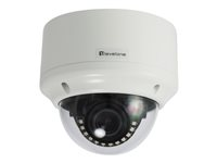 LevelOne FCS-3304 - nätverksövervakningskamera - kupol FCS-3304