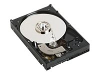 Dell Non Assembled - hårddisk - 500 GB - SATA 3Gb/s 86PRH