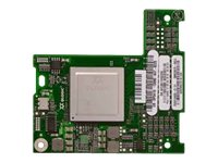 QLogic QME2572 - värdbussadapter - PCIe 2.0 x8 - 8Gb Fibre Channel x 2 W7KT8