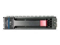 HP Midline - hårddisk - 1 TB - SATA 3Gb/s 454146-S21