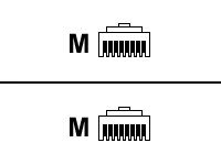 Raritan seriell kabel - 30 cm CSCSPCS-1-5PK