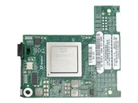 QLogic QME2572 - nätverksadapter - PCIe 543-BBCS