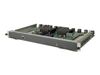 HPE 320 Gbps Type A Fabric Module - kontrollprocessor JC615A