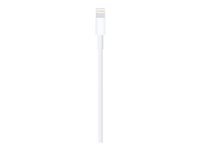 Apple Lightning-kabel - Lightning / USB - 1 m MUQW3ZM/A
