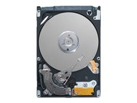 Dell - hårddisk - 1 TB - SATA 6Gb/s 400-ATJJ