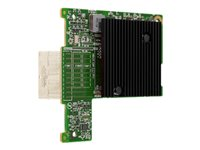 Emulex LightPulse LPM-16002 - värdbussadapter - PCIe 3.0 - 16Gb Fibre Channel 543-BBCW