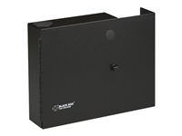Black Box Fiber Wall Cabinet Open-Style, Unloaded, Accepts 2 Adapter Panels - skåp JPM400A-R2