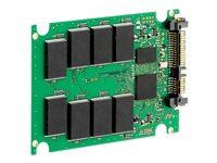 HPE Entry - SSD - 64 GB - SATA 1.5Gb/s 461203-B21