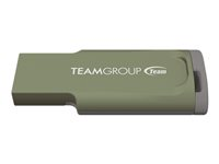 Team C201 - USB flash-enhet - 64 GB TC201364GG01