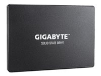 Gigabyte - SSD - 120 GB - SATA 6Gb/s GP-GSTFS31120GNTD