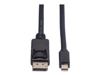 Roline - DisplayPort-kabel - DisplayPort till Mini DisplayPort - 1.5 m 11.04.5638