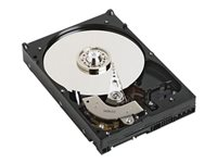 Dell - hårddisk - 2 TB - SATA 6Gb/s 400-AFNP