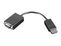Lenovo DisplayPort-kabel - 20 cm 45J9524