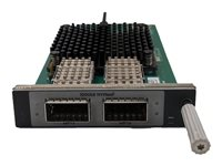 HPE NVMe-oF 100GbE 2-port Host Bus Adapter - värdbussadapter - 100 Gigabit Ethernet x 2 R3B29A
