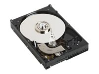 Dell - hårddisk - 500 GB - SATA 1.5Gb/s RT4X4