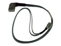 HP SATA/SAS-kabel - 64 cm 667875-001