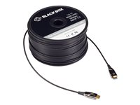Black Box Active Optical Cable - HDMI-kabel - 100 m AOC-HL-H2-100M