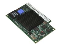 Emulex 8Gb Fibre Channel Expansion Card (CIOv) for Lenovo BladeCenter - nätverksadapter - 8Gb Fibre Channel 46M6138