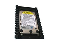 HP - hårddisk - 300 GB - SATA 6Gb/s 637330-001