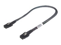 Fujitsu intern SAS-kabel - 32 cm T26139-Y3963-V101
