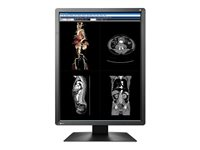 EIZO RadiForce MX216-SB - LED-skärm - 2MP - färg - 21" MX216-SB