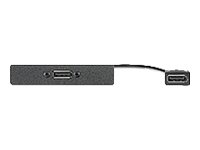 Extron AAP DisplayPort-adapter - 25.4 cm 70-677-12