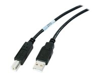 NetBotz - USB-kabel - USB till USB typ B - 5 m NBAC0211P