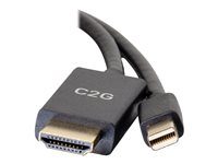 C2G 3ft Mini DisplayPort Male to HDMI Male Passive Adapter Cable - 4K 30Hz - videokort - Mini DisplayPort / HDMI - 90 cm 84435