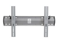 Ergotron monteringssats - Patenterade Constant Force-tekniken - för platt panel - XL - silver 61-142-003