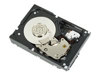 Dell - hårddisk - 2 TB - SAS 400-20393