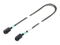 Fujitsu intern SAS-kabel - 54 cm 38037384