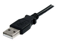 StarTech.com 3 m svart USB 2.0-förlängningskabel A till A – M/F - USB-förlängningskabel - USB till USB - 3 m USBEXTAA10BK