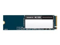 Gigabyte - SSD - 1 TB - PCIe 3.0 x4 (NVMe) GM21TB