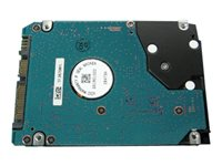 Dell - hårddisk - 320 GB P845X