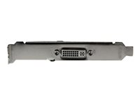 StarTech.com HD PCIe-inspelningskort - HDMI VGA DVI & komponent - 1080p - videofångstadapter - PCIe PEXHDCAP2