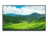 Dell P2222H - utan ställ - LED-skärm - Full HD (1080p) - 22" 210-BBBF
