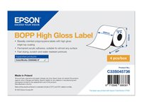 Epson BOPP - löpande etiketter - högblank - 4 rulle (rullar) - Rulle (20,3 cm x 68 m) C33S045736