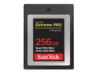 SanDisk Extreme Pro - flash-minneskort - 256 GB - CFexpress SDCFE-256G-GN4NN