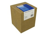 Epson SureLab Pro - papper - blank - 1 rulle (rullar) - Rulle A4 (21 cm x 100 m) - 285 g/m² C13S045448
