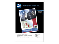 HP Professional Glossy Paper - papper - blank - 250 ark - A3 - 120 g/m² CG969A