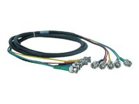 Extron BNC-5 Mini HR - videokabel - 7.6 m 26-260-03