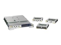 Cisco Mod80 Modular Line Card Service Edge Optimized - expansionsmodul A9K-MOD80-SE=