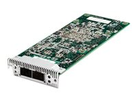 QLogic Dual Port 10GbE SFP+ Embedded VFA - nätverksadapter - Advanced Mezzanine Card (AMC) - 10 Gigabit SFP+ x 2 90Y6266