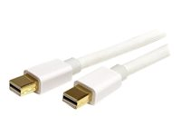 StarTech.com 1m 3ft White Mini DisplayPort 1.2 Cable M/M - Mini DisplayPort 4k w/ HBR2 support - Mini DP to Mini DP Cable 1 meter, 3 feet (MDPMM1MW) - DisplayPort-kabel - 1 m MDPMM1MW